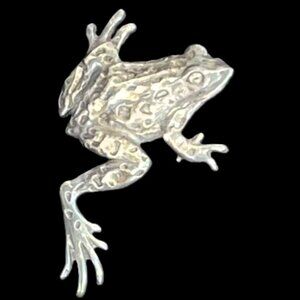 🆕 VINTAGE Sterling Silver Tree Frog Pin by Shube's | Signed 925 Brooch